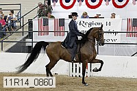 11r14_0860 thumbnail