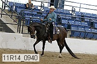11r14_0940 thumbnail