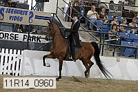 11r14_0960 thumbnail