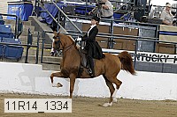 11r14_1334 thumbnail