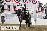 11r14_1378 thumbnail