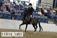 11r14_1481 thumbnail