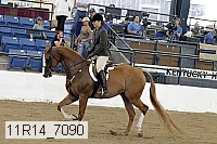 11r14_7090 thumbnail