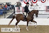 11r14_7106 thumbnail