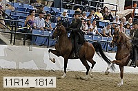 11r14_1814 thumbnail