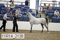 11r14_2138 thumbnail