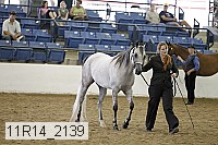 11r14_2139 thumbnail