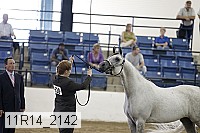 11r14_2142 thumbnail