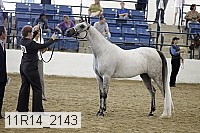 11r14_2143 thumbnail