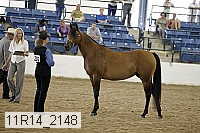 11r14_2148 thumbnail