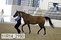 11r14_2150 thumbnail