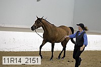 11r14_2151 thumbnail