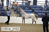 11r14_2152 thumbnail
