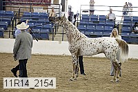 11r14_2154 thumbnail