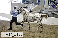 11r14_2155 thumbnail