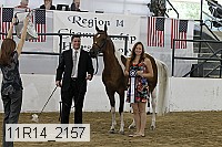 11r14_2157 thumbnail