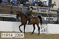 11r14_2264 thumbnail