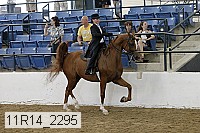 11r14_2295 thumbnail