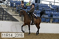 11r14_2316 thumbnail