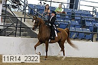 11r14_2322 thumbnail