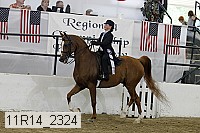 11r14_2324 thumbnail