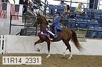 11r14_2331 thumbnail