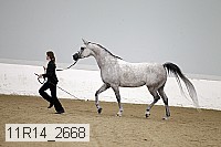 11r14_2668 thumbnail