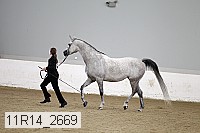 11r14_2669 thumbnail