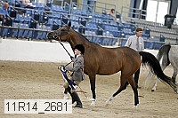 11r14_2681 thumbnail