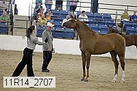 11r14_2707 thumbnail