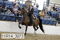 11r14_3073 thumbnail