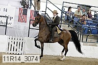 11r14_3074 thumbnail