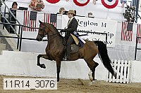 11r14_3076 thumbnail