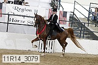 11r14_3079 thumbnail