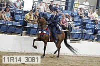 11r14_3081 thumbnail