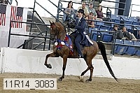11r14_3083 thumbnail