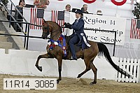 11r14_3085 thumbnail