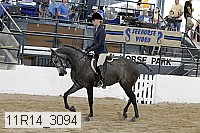 11r14_3094 thumbnail