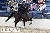 11r14_3185 thumbnail