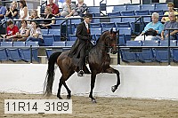 11r14_3189 thumbnail