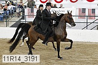 11r14_3191 thumbnail