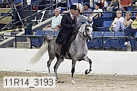 11r14_3193 thumbnail
