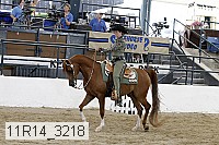 11r14_3218 thumbnail
