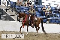 11r14_3267 thumbnail