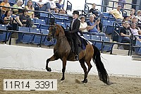 11r14_3391 thumbnail