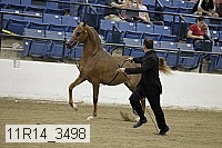 11r14_3498 thumbnail