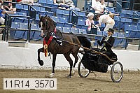 11r14_3570 thumbnail