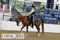 11r14_3593 thumbnail