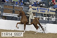 11r14_5507 thumbnail