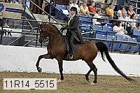 11r14_5515 thumbnail